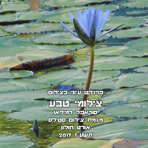 פרויקט בצילום by surafel - Illustrated by סוראפל דמילאו - Ourboox.com