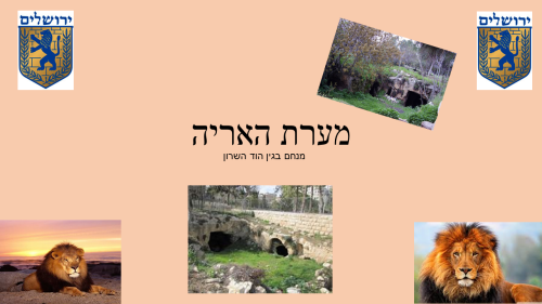 מערת האריה by menahem - Ourboox.com