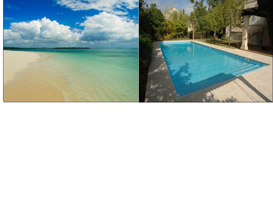 my summer by noa.rybski - Ourboox.com