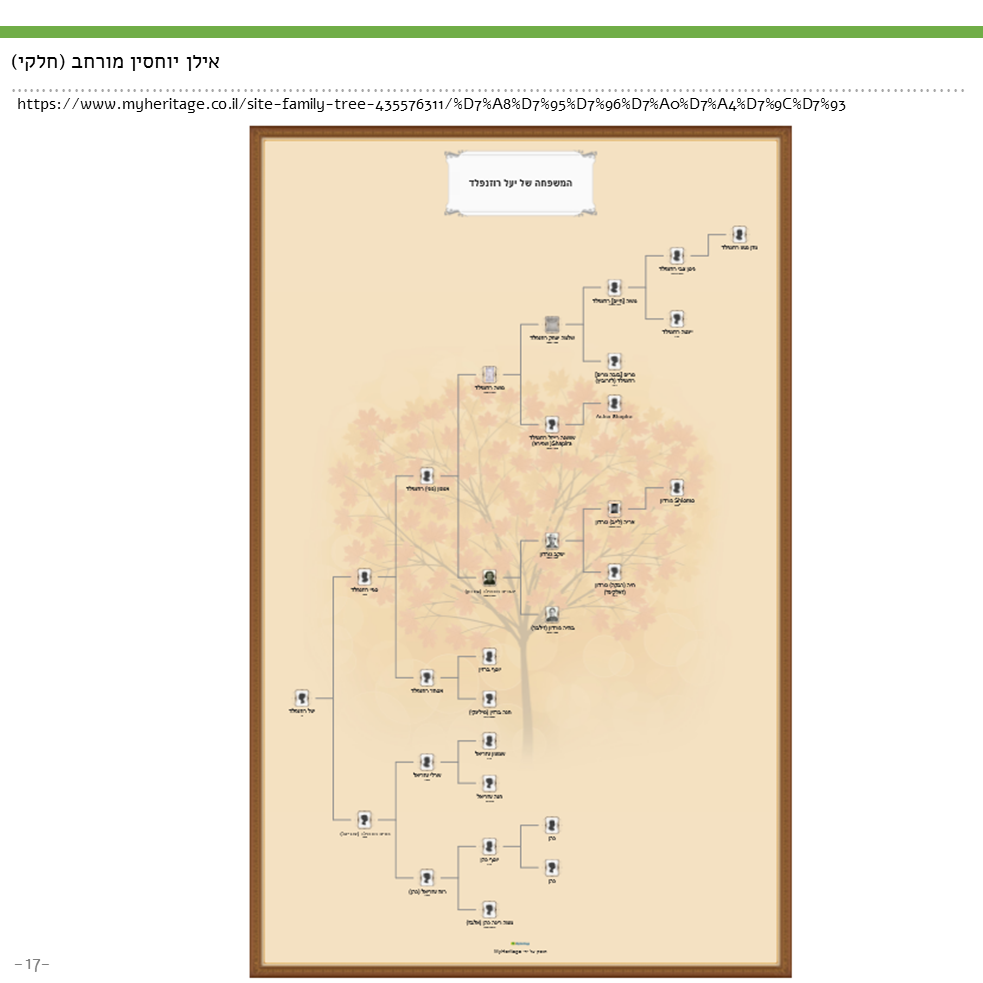 עבודת שורשים-יעל רוזנפלד (מאי 2017) by yael rosenfeld - Ourboox.com
