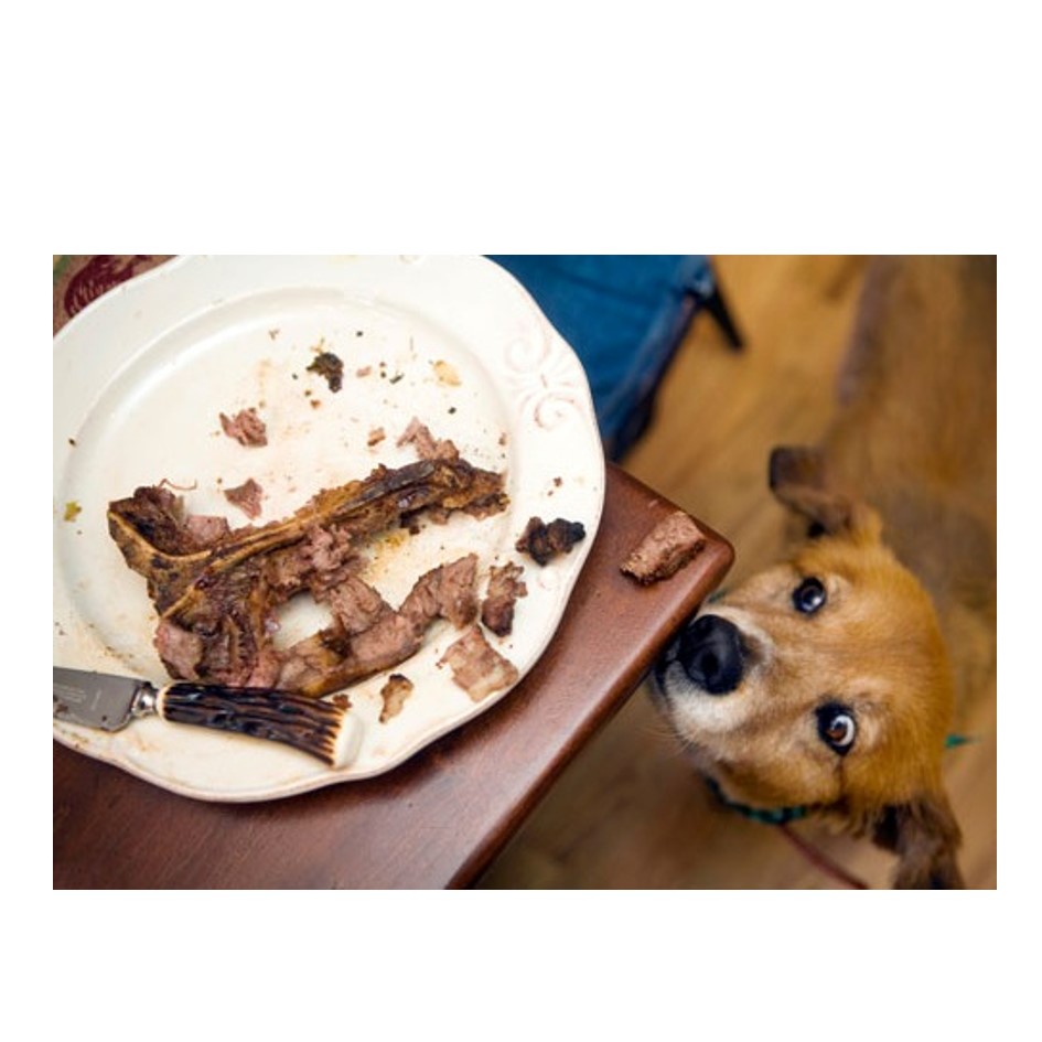 Who is to Blame? by Ronit Breslaw - Ourboox.com