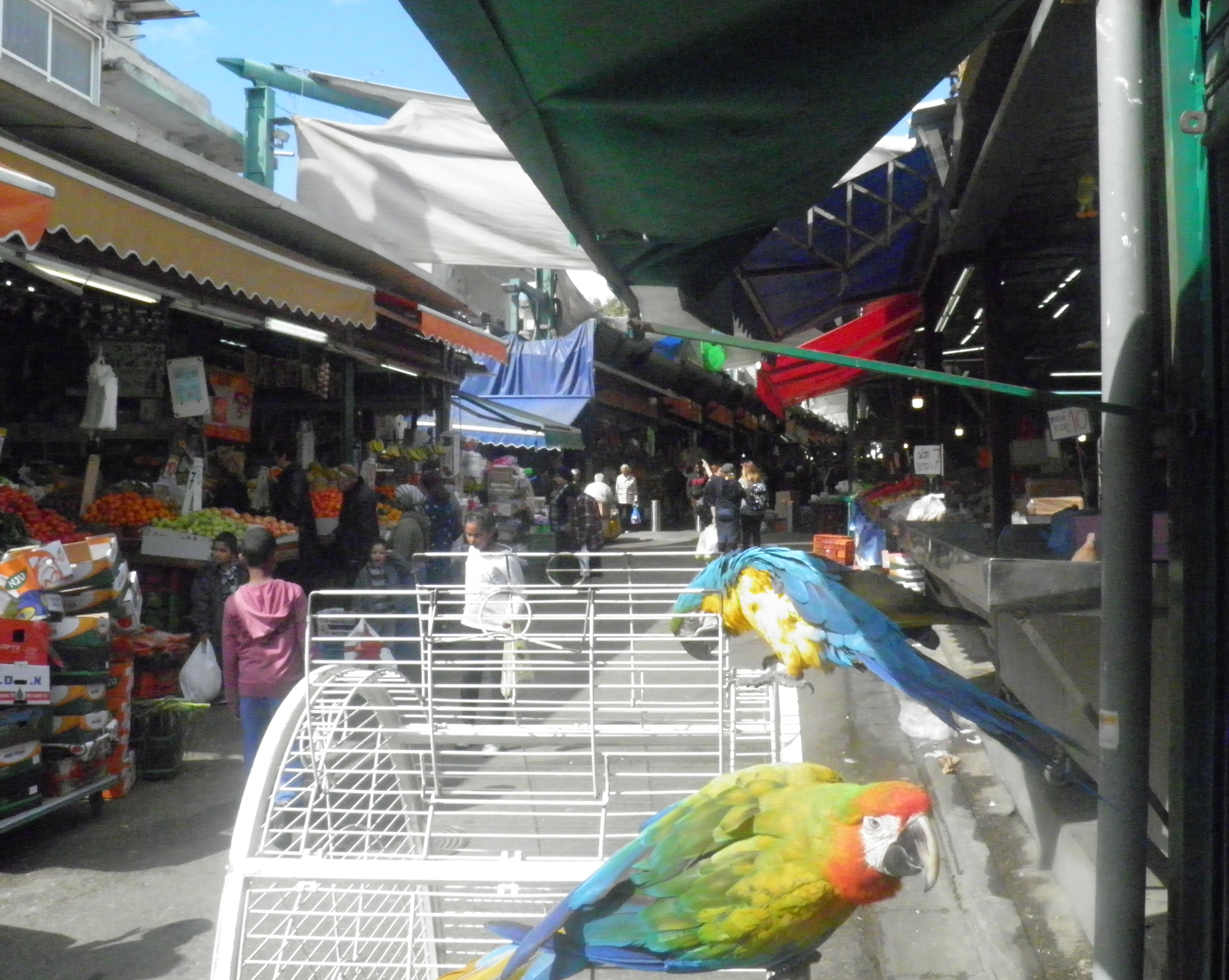 עבודה בצילום by nicole slavutsky - Illustrated by ניקול סלבוטסקי - Ourboox.com