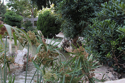 פרויקט גמר צילום by yarin rabia - Ourboox.com