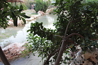 פרויקט גמר צילום by yarin rabia - Ourboox.com