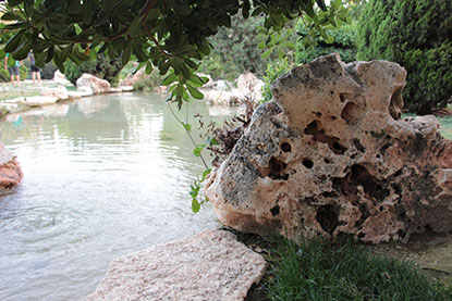 פרויקט גמר צילום by yarin rabia - Ourboox.com