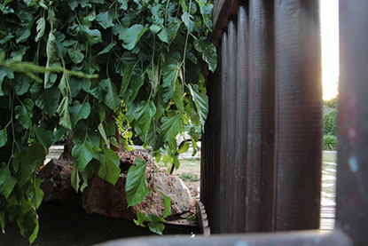 פרויקט גמר צילום by yarin rabia - Ourboox.com