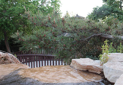 פרויקט גמר צילום by yarin rabia - Ourboox.com