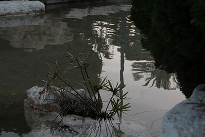 פרויקט גמר צילום by yarin rabia - Ourboox.com