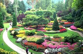 النباتات by marwa.sbitan - Illustrated by marwa sbitan - Ourboox.com