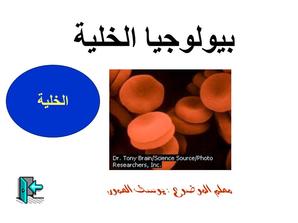 بصمة من فلسطين by etaf baniodeh - Ourboox.com