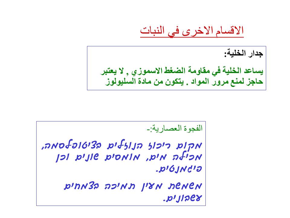 بصمة من فلسطين by etaf baniodeh - Ourboox.com