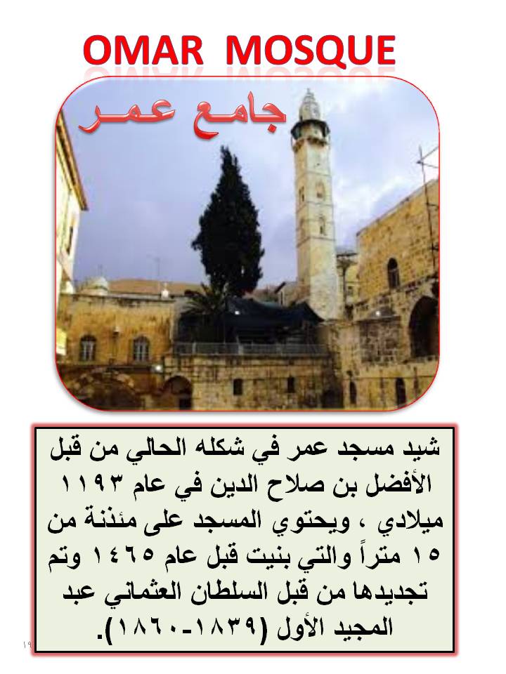 بصمة من فلسطين by etaf baniodeh - Ourboox.com