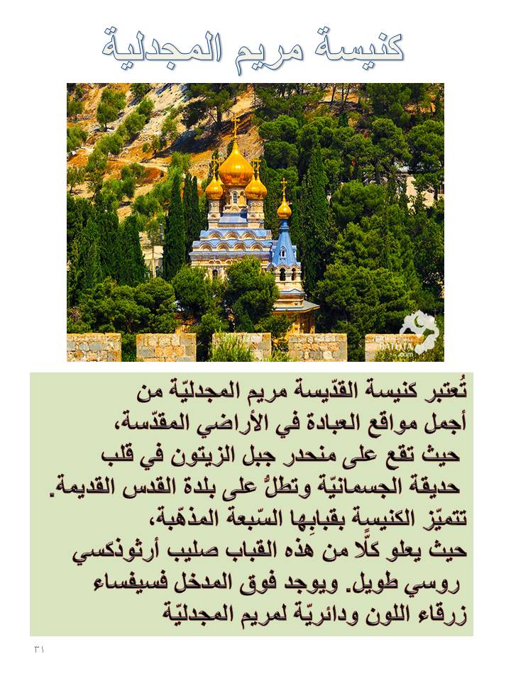 بصمة من فلسطين by etaf baniodeh - Ourboox.com