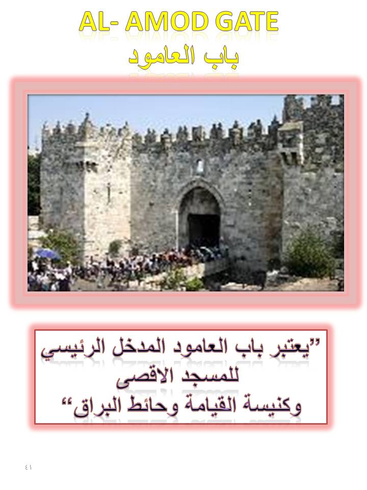 بصمة من فلسطين by etaf baniodeh - Ourboox.com