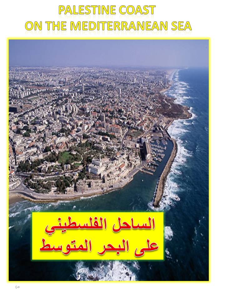 بصمة من فلسطين by etaf baniodeh - Ourboox.com