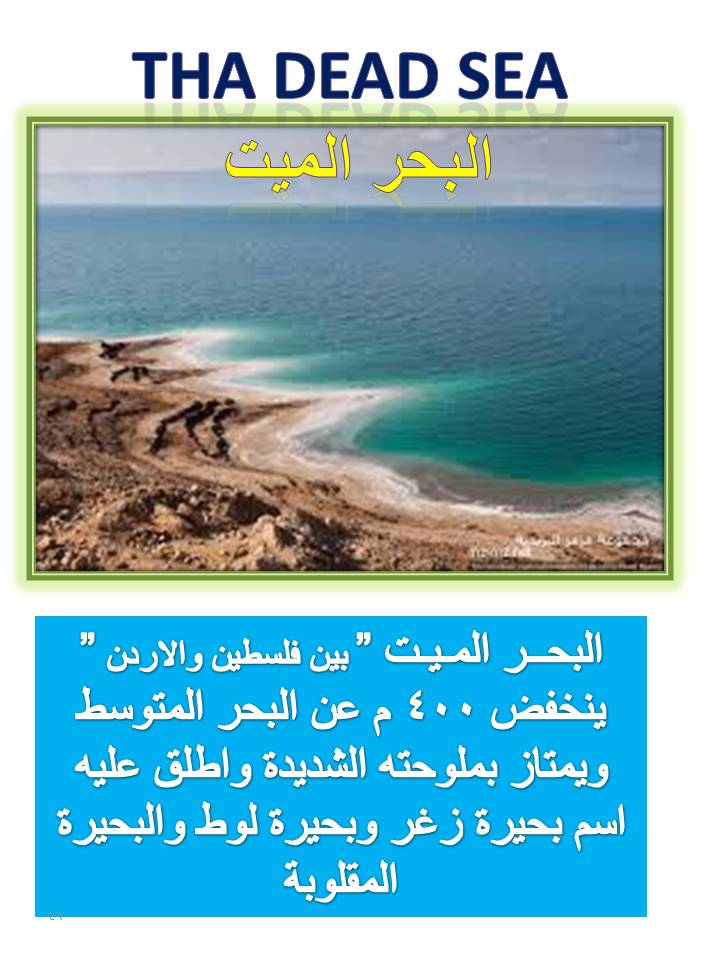 بصمة من فلسطين by etaf baniodeh - Ourboox.com