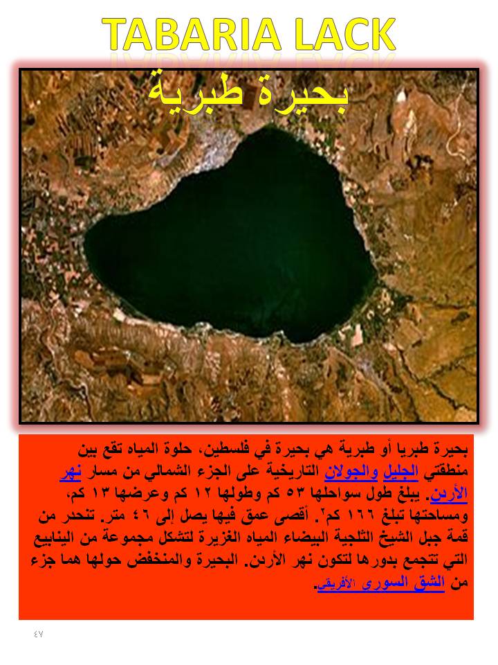 بصمة من فلسطين by etaf baniodeh - Ourboox.com