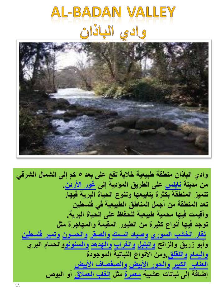 بصمة من فلسطين by etaf baniodeh - Ourboox.com