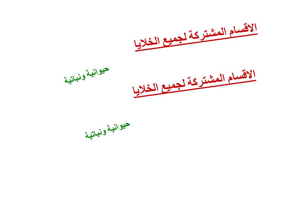 بصمة من فلسطين by etaf baniodeh - Ourboox.com