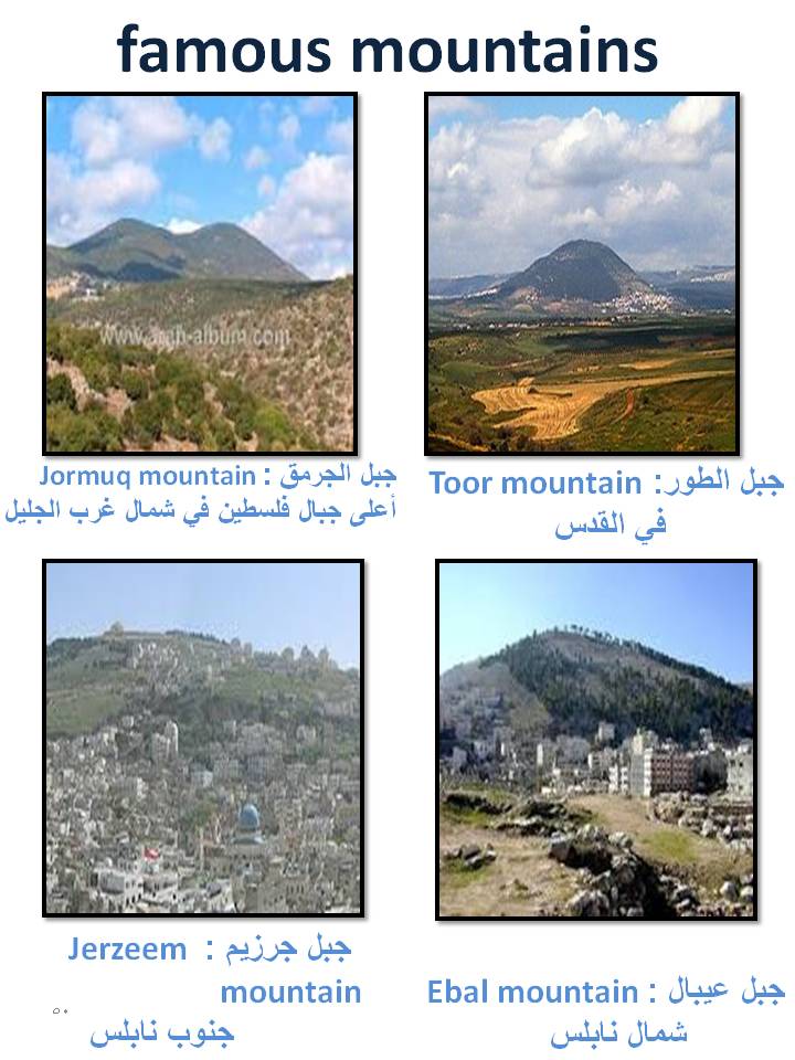 بصمة من فلسطين by etaf baniodeh - Ourboox.com