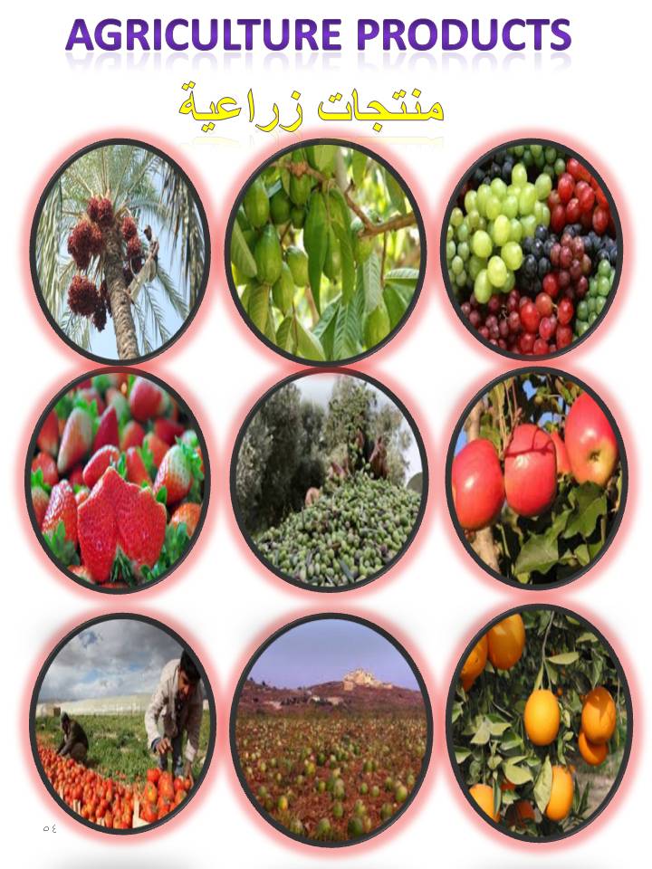 بصمة من فلسطين by etaf baniodeh - Ourboox.com