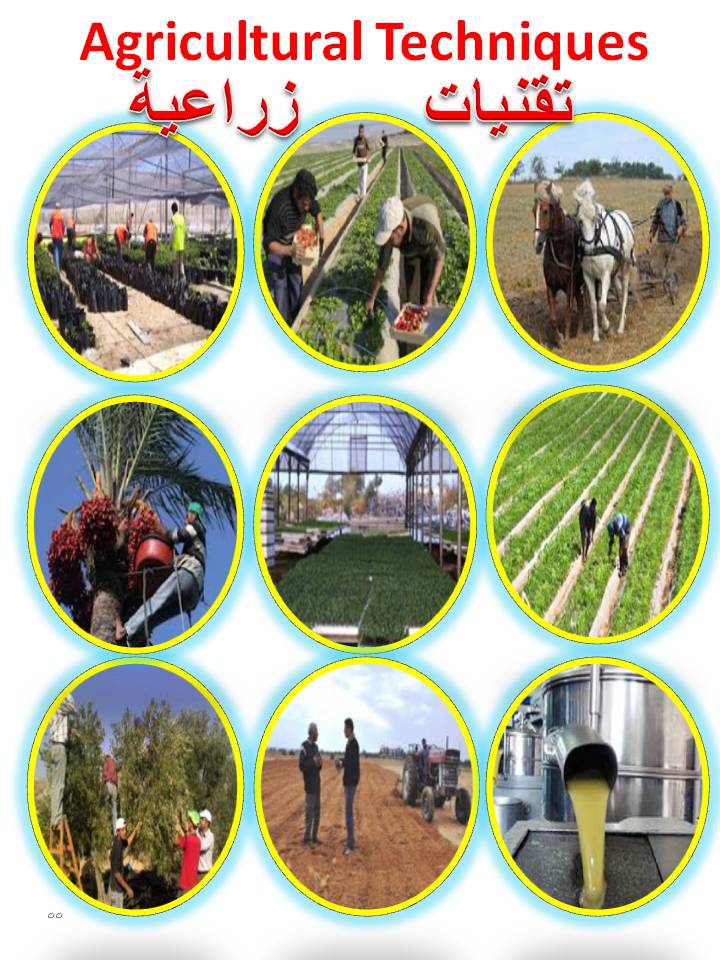 بصمة من فلسطين by etaf baniodeh - Ourboox.com