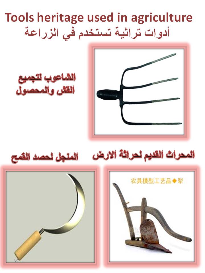 بصمة من فلسطين by etaf baniodeh - Ourboox.com