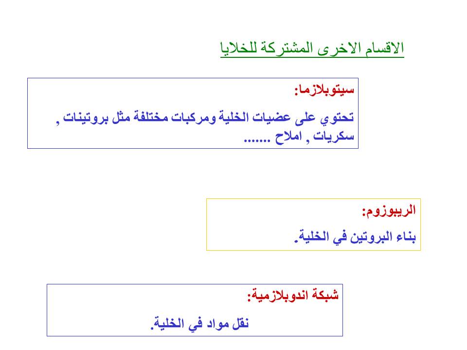 بصمة من فلسطين by etaf baniodeh - Ourboox.com