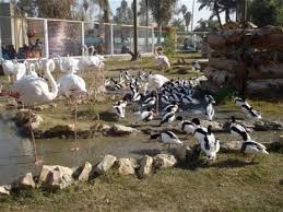 save our world (ahmad) by ahmad - Ourboox.com