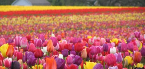 الفصول الاربعة by besan - Ourboox.com