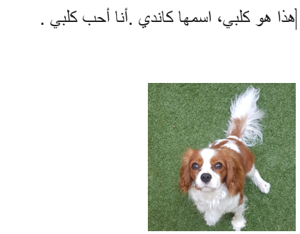 כלבי ,משפחתי וחדרי by raqui meit - Illustrated by רחל מייט וליהי וייסר - Ourboox.com