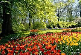 فصول الاربعة by malak nabulsi - Ourboox.com