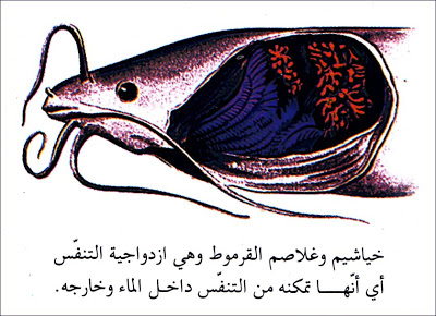 الهواء by fedi - Ourboox.com