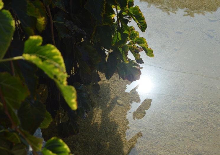 צילום by noyeli - Illustrated by נוי מאור  - Ourboox.com