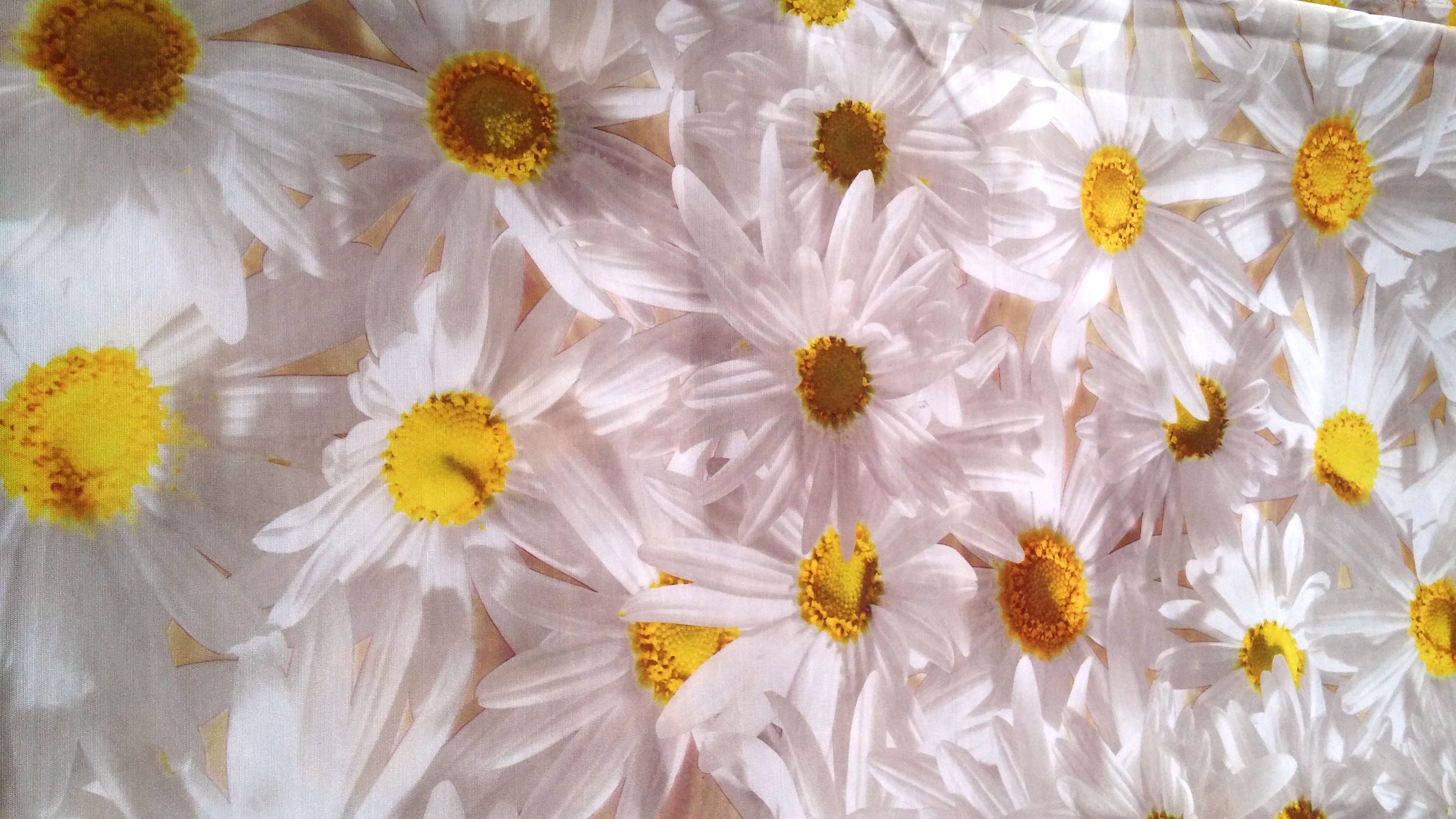 חג השבועות by lihi banayan - Ourboox.com