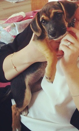 The Sweetest Sweetie by Ayala Snir and Paz Barzilay - Ourboox.com