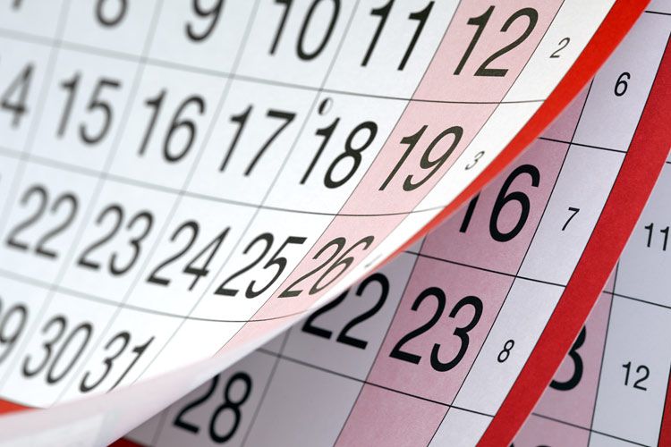 שבועות by emily - Ourboox.com