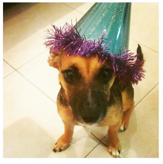 The Sweetest Sweetie by Ayala Snir and Paz Barzilay - Ourboox.com