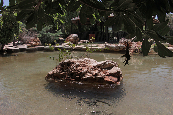 פרויקט עיוני בצילום by shirel kadshny - Ourboox.com