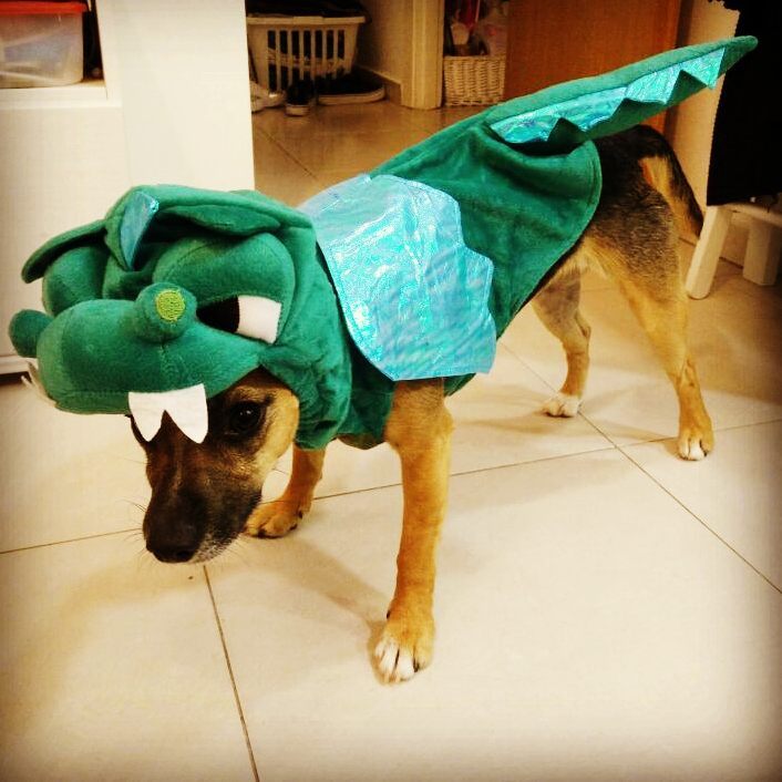 The Sweetest Sweetie by Ayala Snir and Paz Barzilay - Ourboox.com