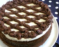 פרויקט עיוני בצילום by shirel kadshny - Ourboox.com