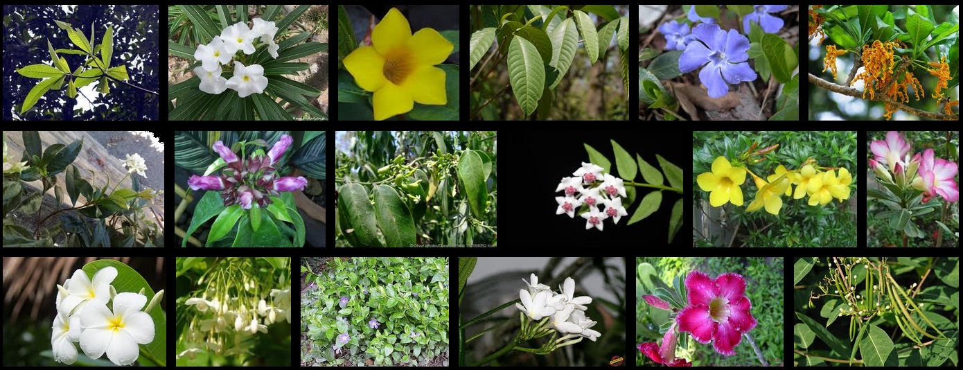 אימא סיפרה לי by noniiiiiiii - Ourboox.com