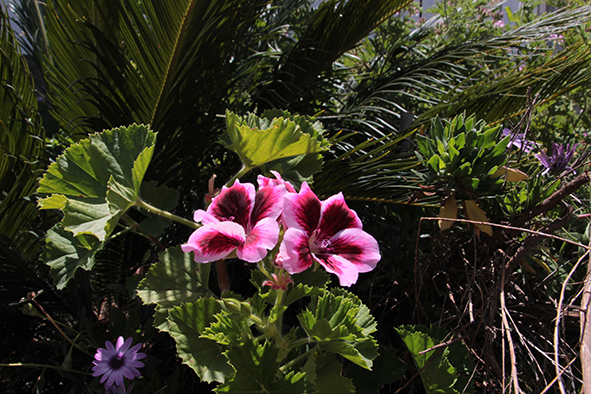 פרויקט עיוני בצילום by shirel kadshny - Ourboox.com