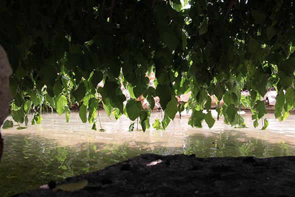 פרויקט עיוני בצילום by shirel kadshny - Ourboox.com