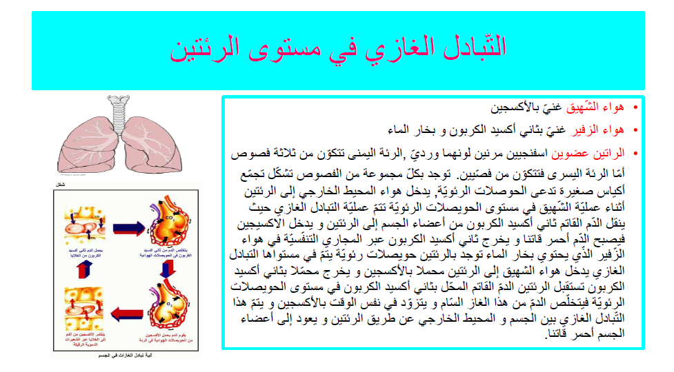 كيتاب الإيقاظ العلمي by Abir Mejdoub - Ourboox.com