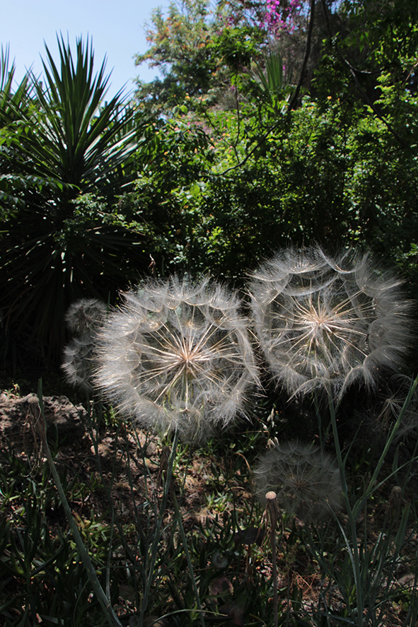 פרויקט עיוני בצילום by shirel kadshny - Ourboox.com