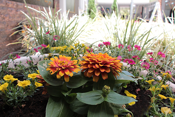 פרויקט עיוני בצילום by shirel kadshny - Ourboox.com