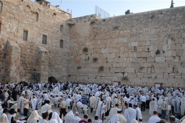 עיר הזהב שלי