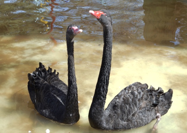 צילום by noyeli - Illustrated by נוי מאור  - Ourboox.com