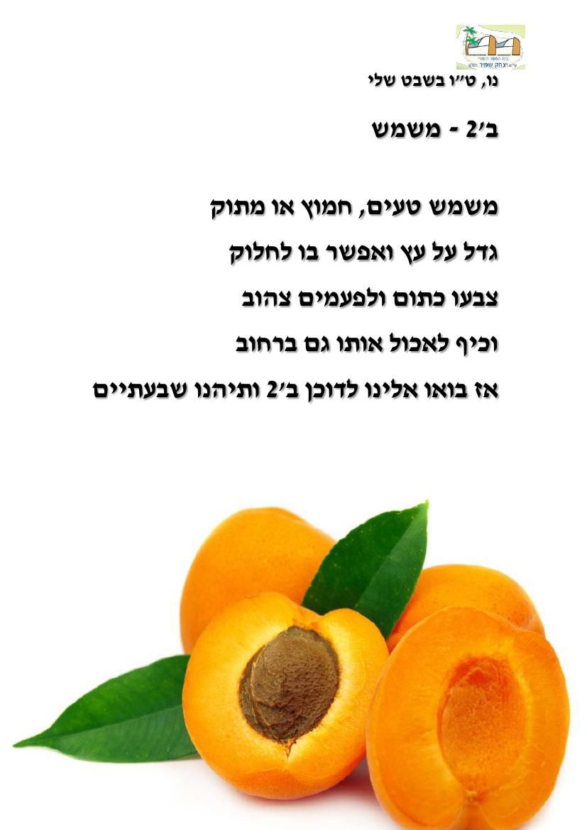 שוק האיכרים by odelia shoham - Ourboox.com